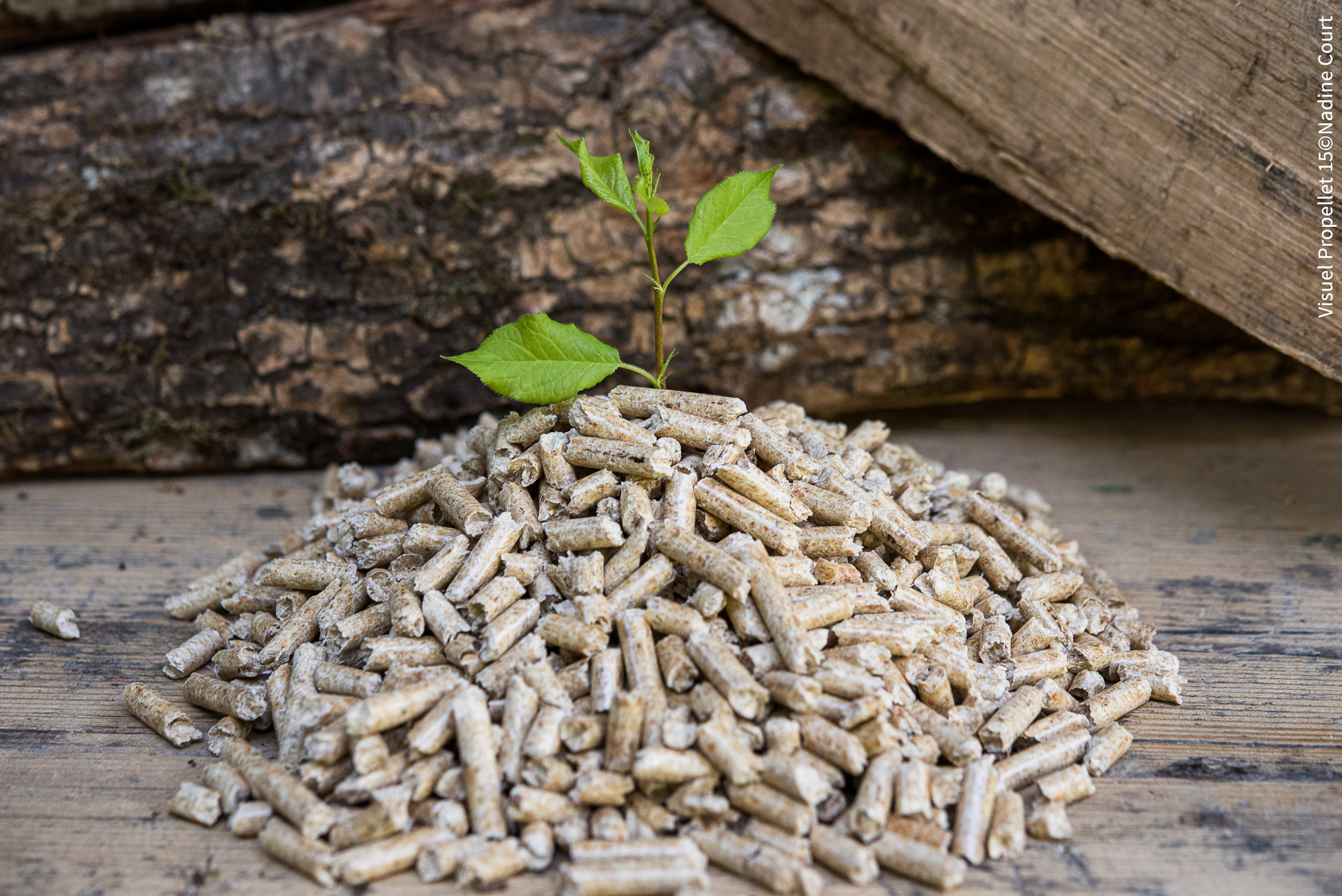 La fabrication du granulé : une solution écologique pour le chauffage