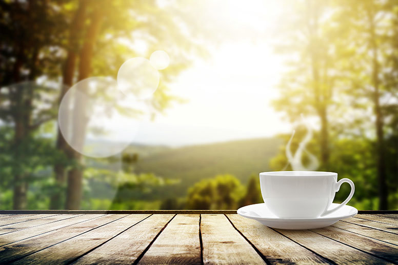 Tasse Cafe Nature